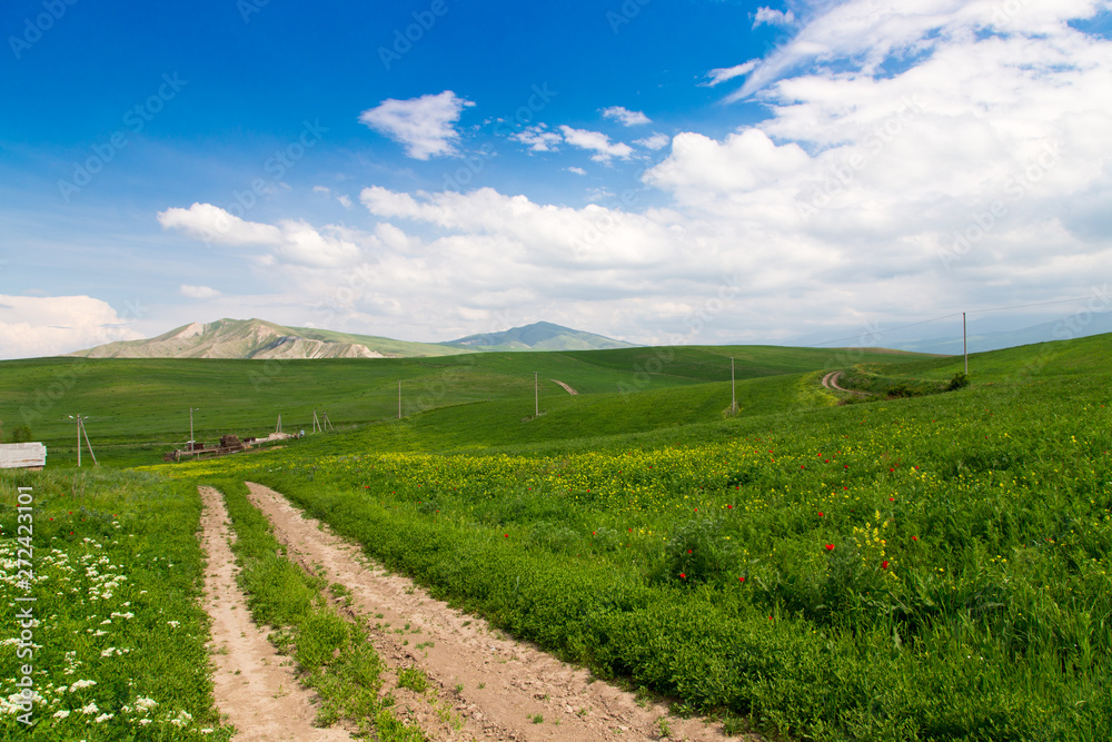 Beautiful spring and summer landscape. Mountain country road among green hills. Bright green grass.