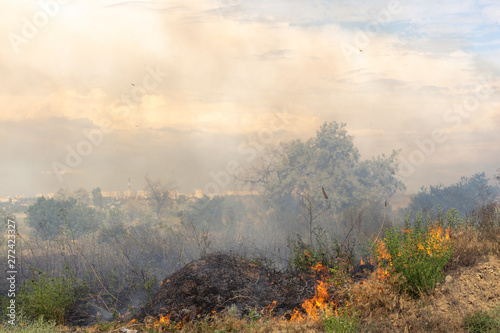 Forest fire Burning dry grass. Summer, drought. © Виктор Кеталь