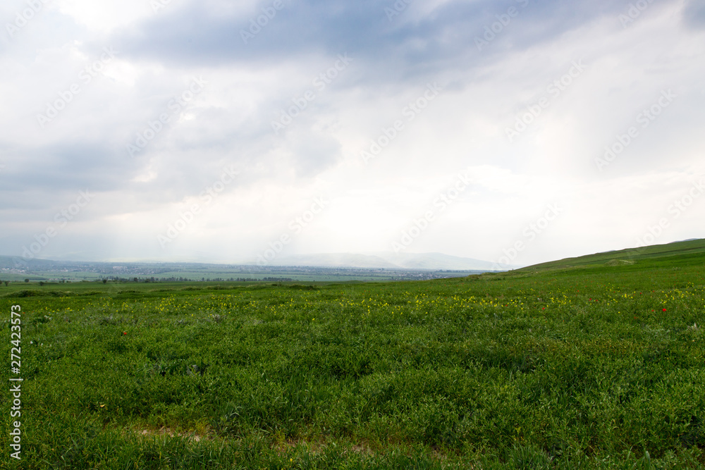 Beautiful spring and summer landscape. Lush green hills, high mountains. Bright green grass. Spring flowering grass.