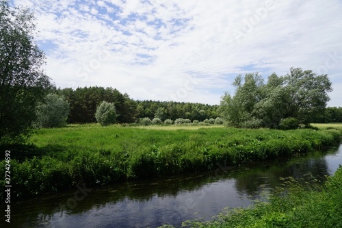 Fototapeta Naklejka Na Ścianę i Meble -  Idyllische, grüne Panoramalandschaft mit Wiese, Wald, Fluss, Himmel und Wolken