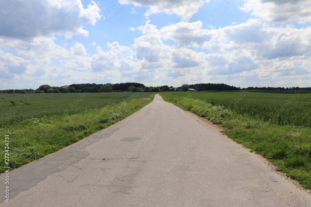 Einsamer Feldweg auf dem Land und bewölkter Himmel im Sommer, Raum für Text