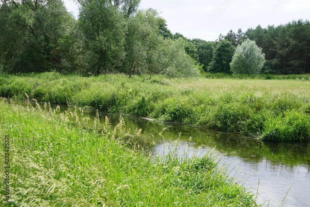 Fototapeta premium Grüne Landschaft an der Erpe