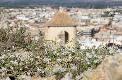 Cox en la Vega Baja del Segura - Castillo, paisaje,  montaña, sierra e Iglesia de San Juan Bautista