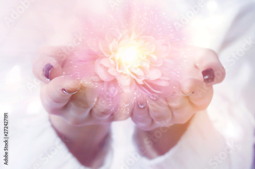 A flower with magical particles on the palms of a woman, a stream of magical energy emanating from female hands.