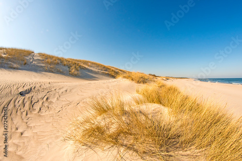 lonesome beach of the Baltic Sea