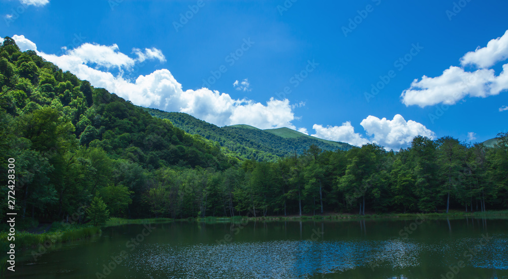 beautiful wide panorama of the lake and forest