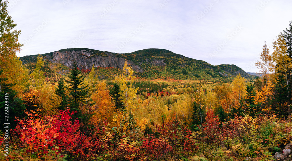 Regional Park of Hautes-Gorges of the Malbaie River at autumn time