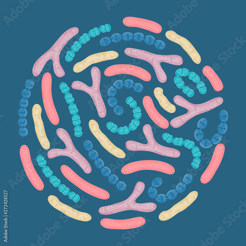 Vector probiotics in circular shape. Bifidobacterium, lactobacillus, streptococcus thermophilus, lactococcus, propionibacterium. Brochure, label, cover, poster, package, advertising, presentation