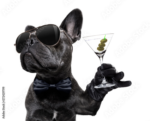 drunk dog drinking a cocktail © Javier brosch