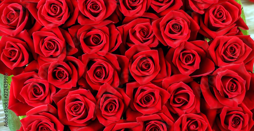 Fototapeta Naklejka Na Ścianę i Meble -  red roses background