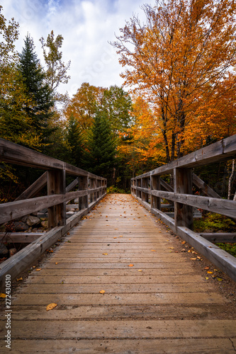 Wooden bridge in the Regional Park of Hautes-Gorges of the Malbaie River at autumn time