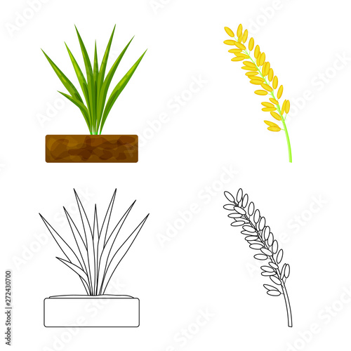 Vector design of crop and ecological symbol. Collection of crop and cooking stock vector illustration.