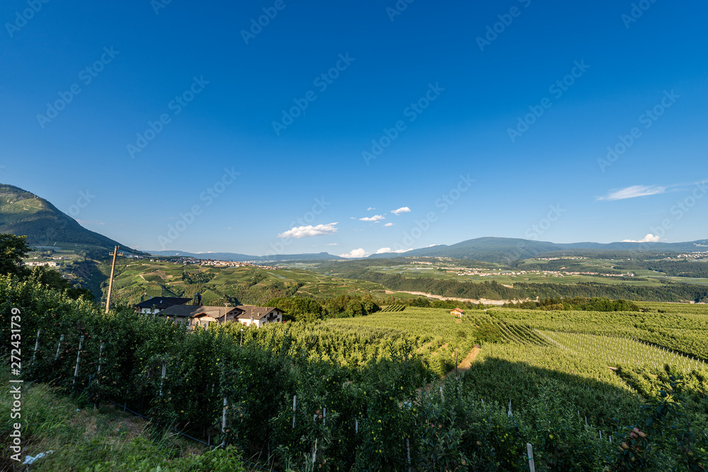 Val di Non (Non valley) with orchards and vineyards near Cles. Trentino Alto Adige, Northern Italy, Europe