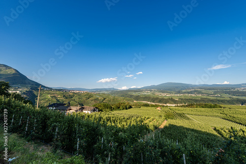 Val di Non  Non valley  with orchards and vineyards near Cles. Trentino Alto Adige  Northern Italy  Europe