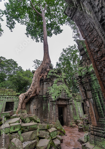 Temple overgrown with tree roots, Siem Reap Province, Angkor, Cambodia photo