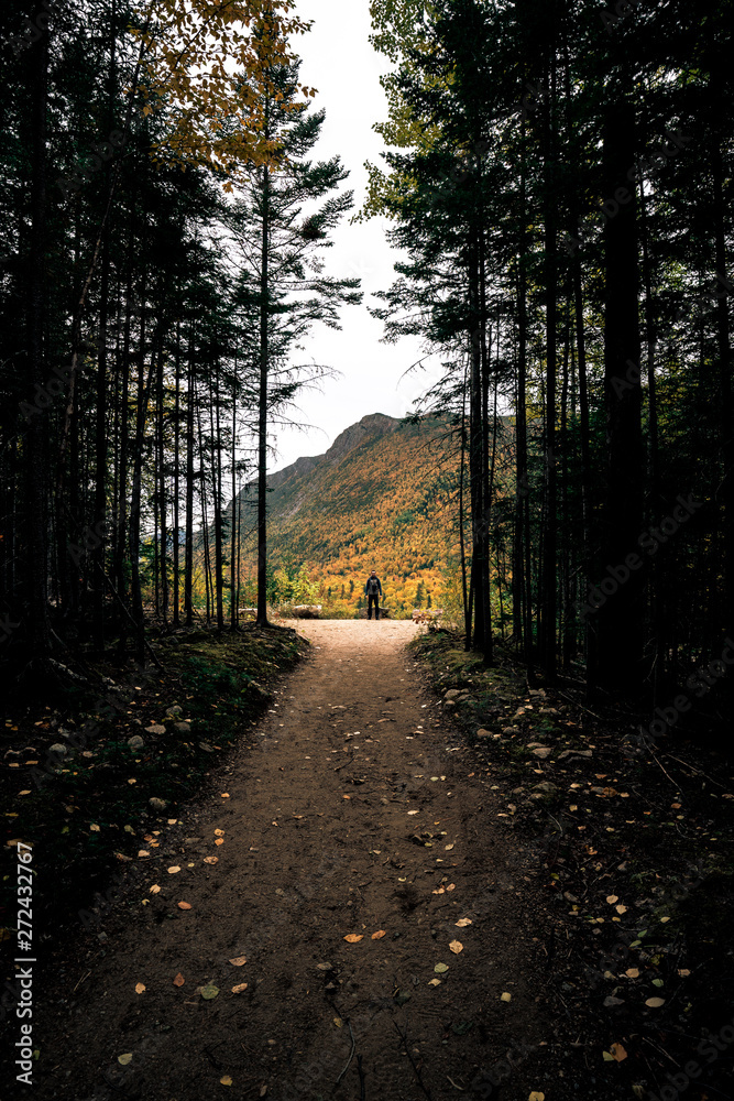 Lonely Hiker in the forest.