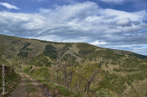 Mountain dirt road © Slobodan Radovanovic