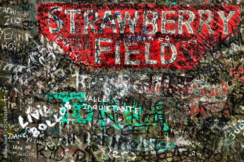 Vászonkép Strawberry Field