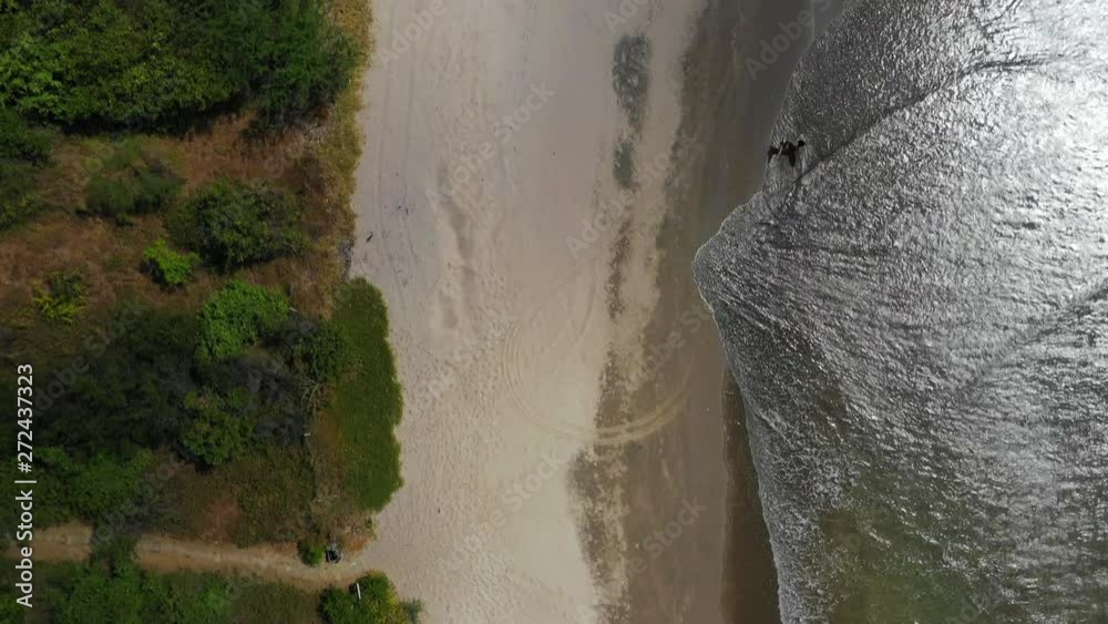 Aerial Forward: Couple Walking In Shallow Ocean Waves By Grassy, Sandy Shore - El Gigante, Nicaragua Aerial Forward: Couple Walking In Shallow Ocean Waves By Grassy, Sandy Shore - El Gigante, Nicaragua