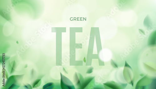 Green nature background with tea leaves vector illustration