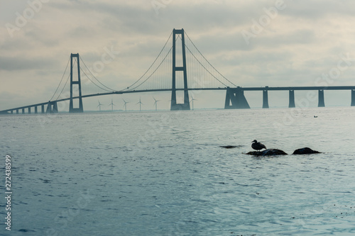 Storebaelt bridge with a duck in the foreground from the Granskoven Strand in Denmark