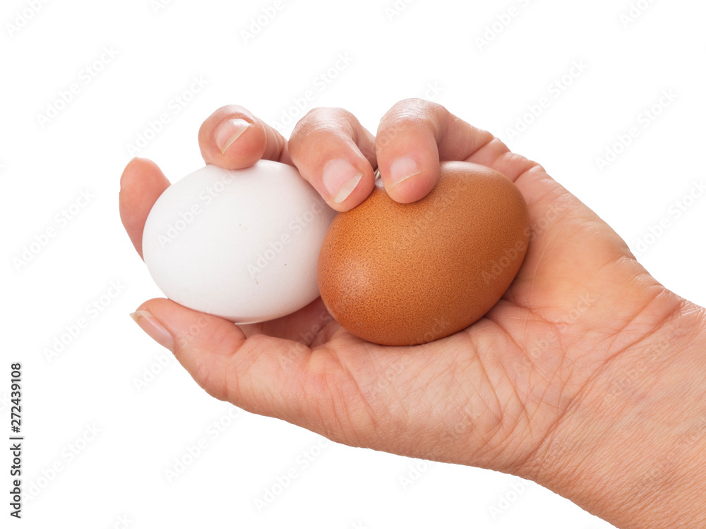 Hand with two different colour eggs. Brown and white color. Isolated on white. Hand with two different colour eggs. Brown and white color. Isolated on white.