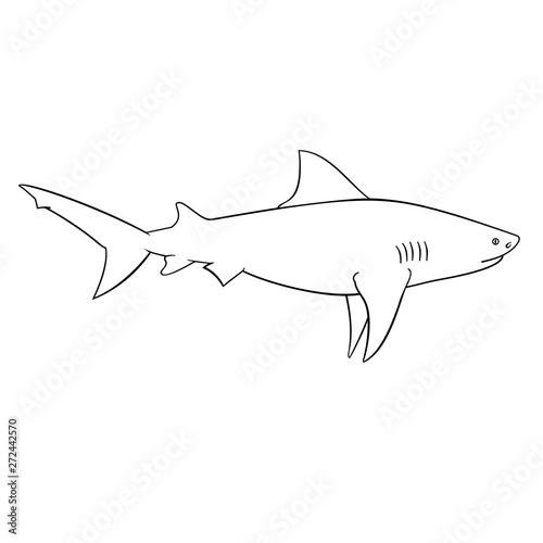 Coloring book for children, shark