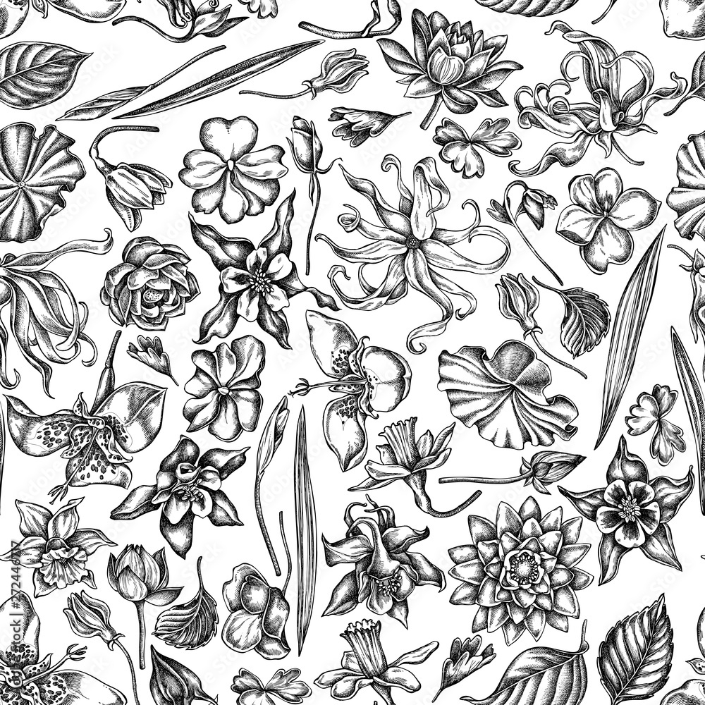 Fototapeta premium Seamless pattern with black and white ylang-ylang, impatiens, daffodil, tigridia, lotus, aquilegia