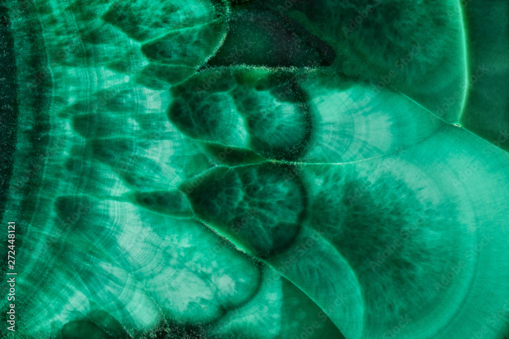 Fototapeta The green malachite. An ornamental stone. Photo texture. Macro.