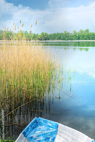 Fototapeta Naklejka Na Ścianę i Meble -  Beautiful view of the lake, water grass and boat. Spring, Mazury, Poland.