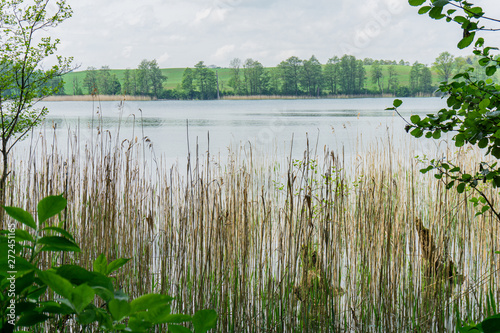 Fototapeta Naklejka Na Ścianę i Meble -  Beautiful view of the lake, sky, trees and water grass. Spring, Mazury, Poland.
