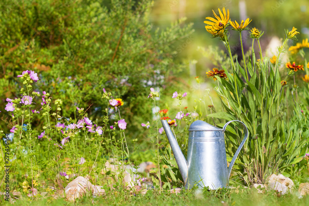 Steel water can against flowers in summer garden Steel water can against flowers in summer garden