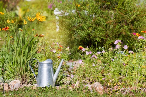 Steel water can against flowers in summer garden