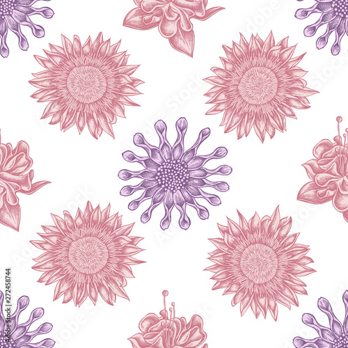 Seamless pattern with hand drawn pastel african daisies, fuchsia, king protea