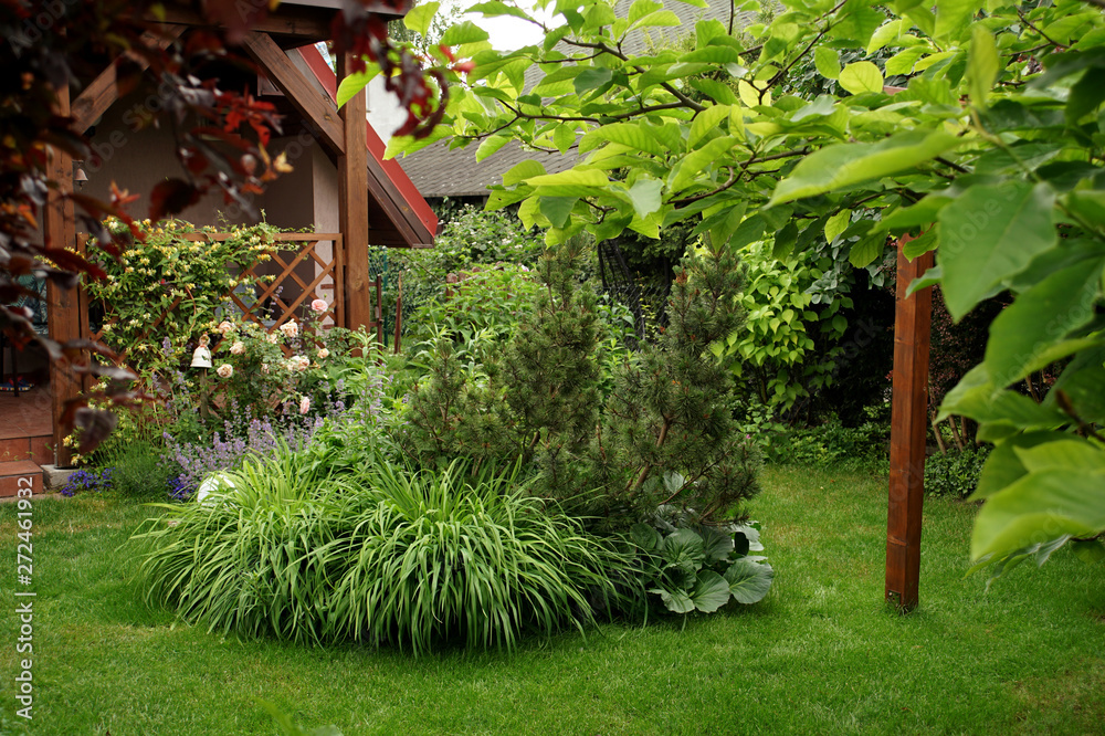 Fototapeta premium Rabata z liliowcami