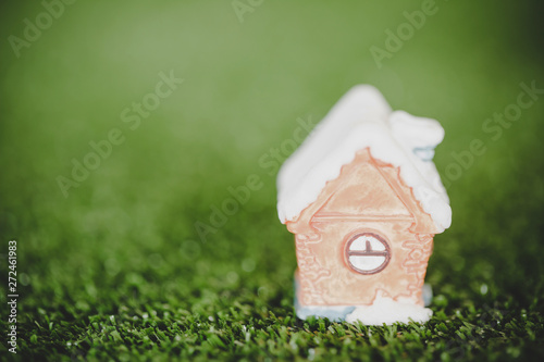 House on grass for real estate property or eco friendly house concept