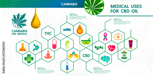 Cannabis for medical vector illustration.