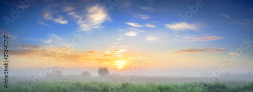 summer landscape panorama with sunrise and fog