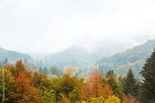Plitvice lakes national Park, Croatia. Autumn landscape. Golden trees, fog, mountains and waterfall.