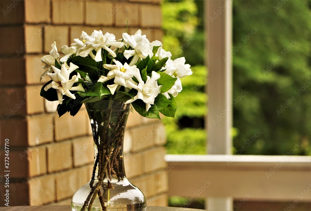 Gardenia Flower Vase