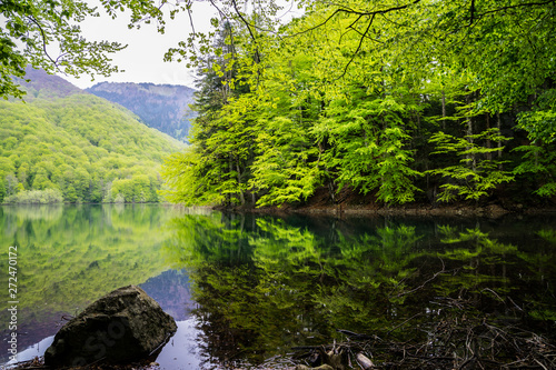 Montenegro  Perfect relaxation place at lake biogradsko in green nature forest landscape reflecting in biogradska gora national park