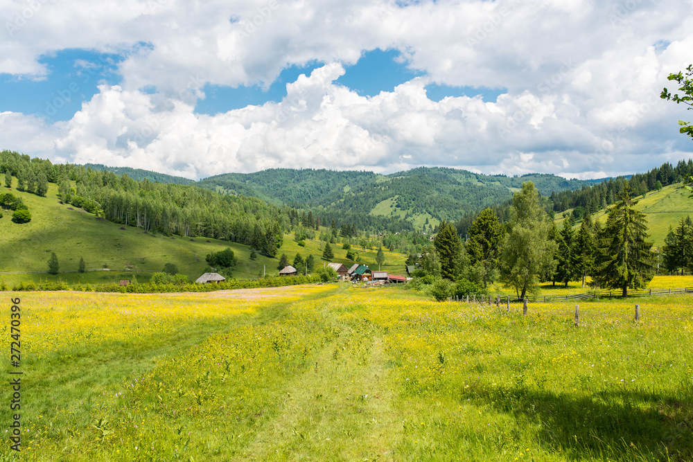 Beautiful intact meadow in the Carpathian mountains , small mountain village in the background.
