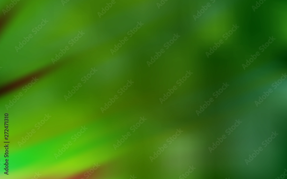 Light Green vector glossy abstract background. Light Green vector glossy abstract background.