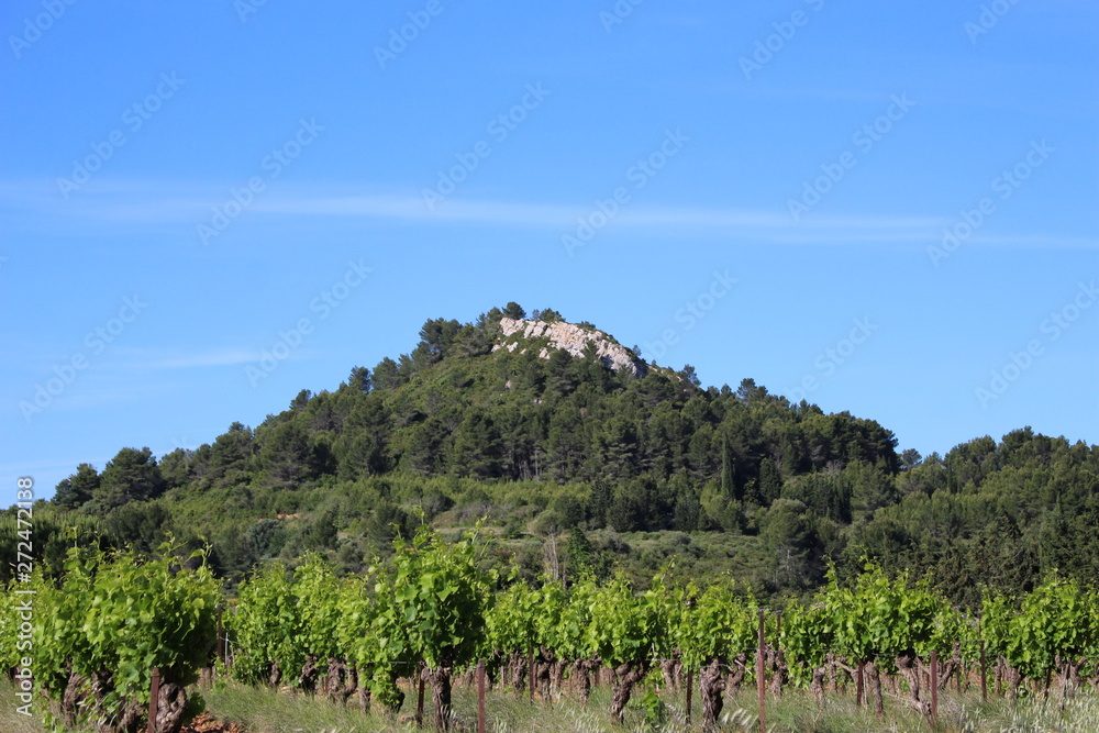 Fototapeta premium paysage