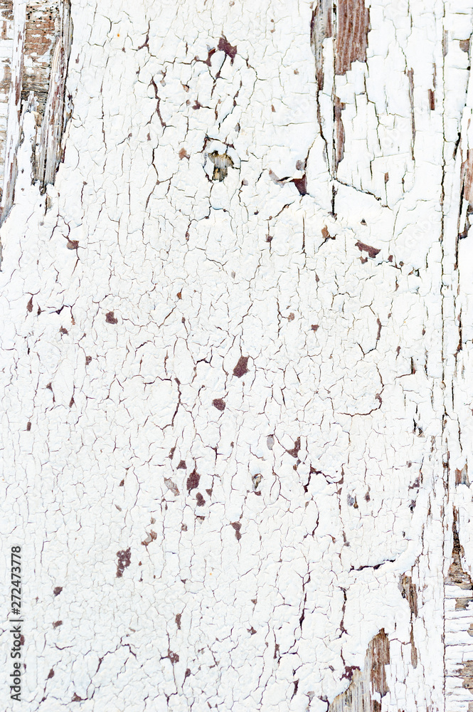 Grunge Wooden Texture Wall with White Paint is severely peeling Old ...