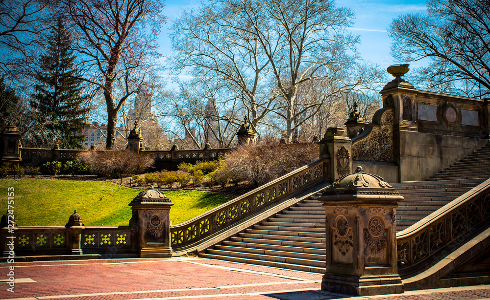 Fototapeta premium bridge in central park