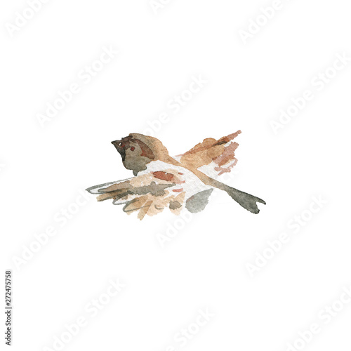 Watercolor flying sparrow