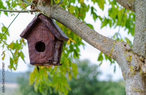 Pretty little wooden house for birds