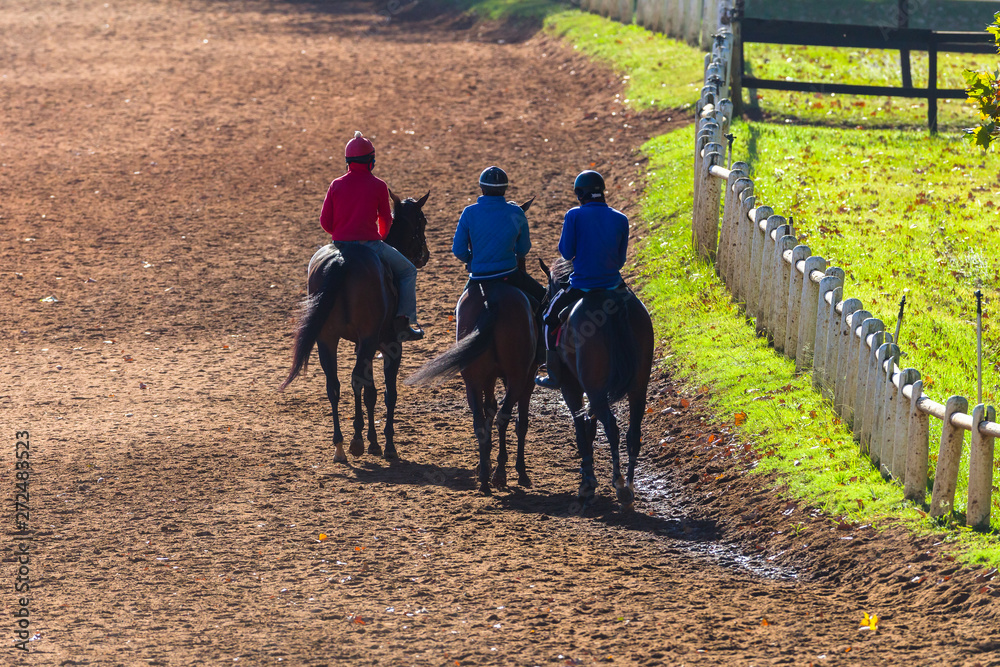 Race Horses Riders Dirt Path Morning Training Lifestyle