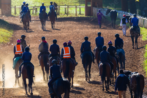 Race Horses Riders Dirt Path Morning Training Lifestyle